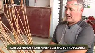 ¿Sabrías reconocer un 🌿campo de mimbre?