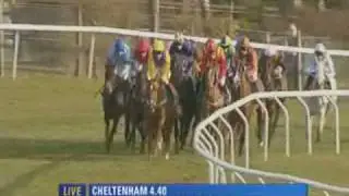 4.40 - David Nicholson Mares' Hurdle