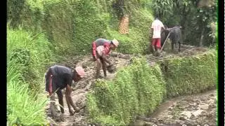 Dhital Village Documentary