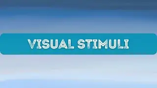 Visual Stimuli: Creating Consistency for PBIS Systems and School Culture