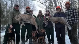 Bobcats before breakfast | Fellowship Hunt