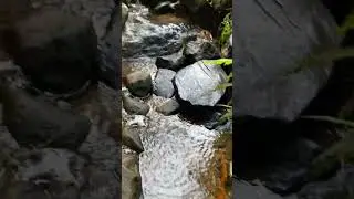 Daily Sound of Ambience
