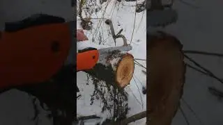 Stihl Handycut PR16-тест пилки на комфорт різу