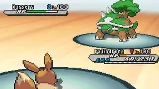 ★~EPIC EEVEE SWEEP~★