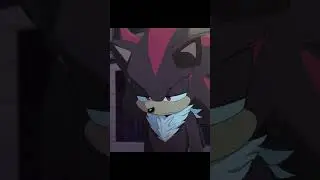 DON'T MARRY HIM  #sonicthehedgehog #animation #sonic #shadowthehedgehog #amyrose #sonamy #shadamy