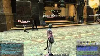 74 Final Fantasy XIV Online - Hunt for pink Armor x2