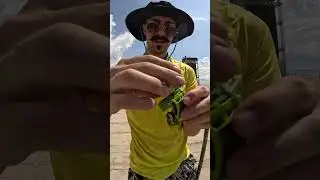 Bizarre things I found after a concert on the beach part2