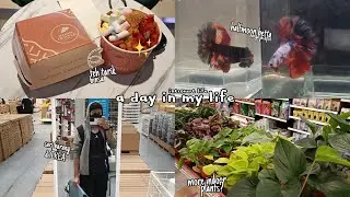 a day with an introvert || aesthetic MINI VLOG || ikea mytown, madam croffle, pet safari, etc