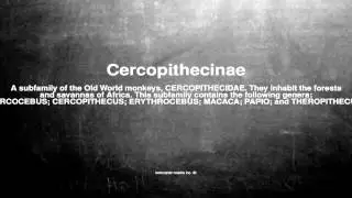 Medical vocabulary: What does Cercopithecinae mean