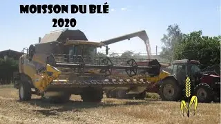 moisson du bl&eacute; 2020 ! new holland cx8080 !