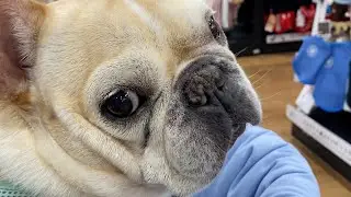 アピール上手な彼にはかないません