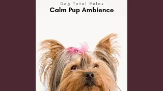Turbo Relaxed Puppy Melodies