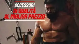 Warrior Gear | Accessori e abbigliamento per la palestra | Bodybuilding | Powerlifting | Strongman