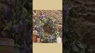 Dekokrank aus Kr&auml;uter dekorieren #basteln #nature #short #deko #diy #handmade #dekoidee #gartendeko