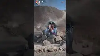 phudat   Kamhoa