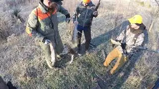 Rabbit Hunting NC 2020