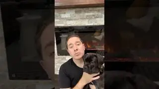 Dremel Training a Cane Corso Puppy #dogtraining #puppy #canecorso #dog #pets #puppylife