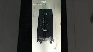 Fingerprint trolley case