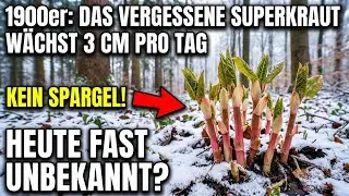 1900 setzten Experten alles auf diese Pflanze. Dann verschwand sie. Was ist passiert?