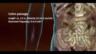 New drug development remote controlled drug release into the GI tract