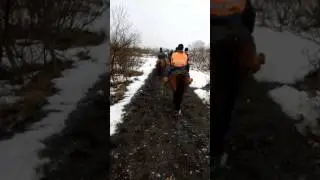 Laxnes Farms - Iceland 03/2017