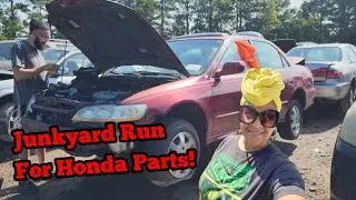 JUNKYARD RUN! | These Prices Are CRAZY! | Budget Honda Project