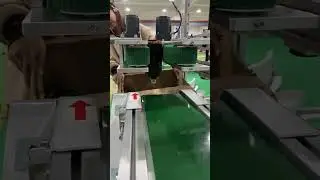 bottle conveyor#beltconveyor #materialhandling #conveyor #transportadora #конвейер