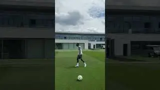 Pape Crossbar