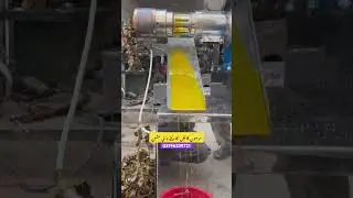 Best Mustard Oil Extraction Machine #noorbaaf #businessideas #mustard #mustardoil #almondoil