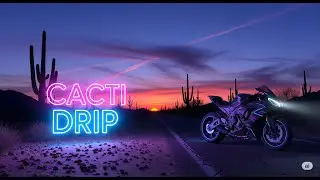 Cacti Drip - Cacti Drip | This Desert Style Will Blow Your Mind!