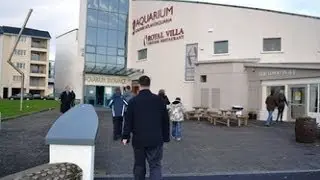Galway Aquarium Salthill HQ video Fish FULL HQ