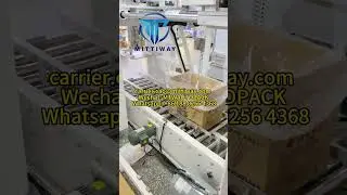 Bag In Box Inserter Machine Poly Bag Inserting Machine