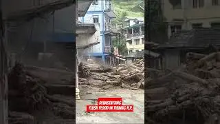 Flush Flood in Thunag Himachal Pradesh