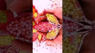 ASMR Crushing Soap Flower with Starch & Beads