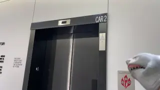 SB Movie: Shark Puppet goes on an elevator! (Part 40)