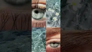 ###rare eye's colours , which eye colour do you have 👁️###aesthetic #shorts