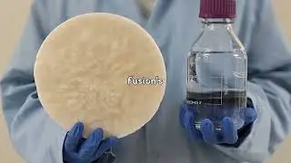 Fusion Energy Breakthroughs: 10 Milestones You Must Know!