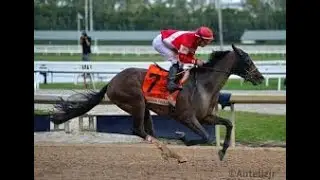 Holy Bull Stakes (G3) 2025