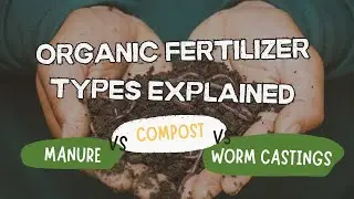 Organic Fertilizer Types Explained (Compost vs Manure vs Worm Castings)
