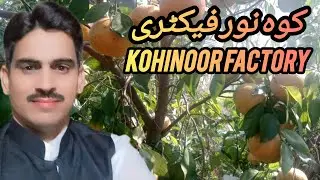 Pakistani Orange Bhagat Orange Factory Kohinoor Bhagat Visit Rana M Nadeem Rana M Babar Sargodha