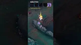 Yunara Champion Spotlight