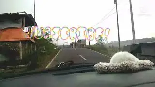 DATSUN TES TANJAKAN TAJAM DI DAERAH DIENG JATENG