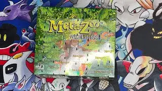 MetaZoo : Wilderness 1sr edition booster box opening