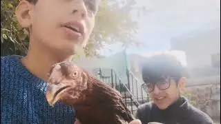 MURGHAO KI LARAI HOWI ||WITH ISMAIL BUTT