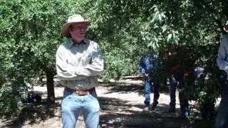 Almond Disease & Nutrient Management for the Spring & Early Summer- David Doll