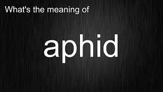 What's the meaning of 
