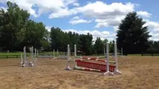 Samantha & Echo Novice SJ