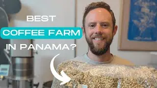 BEST OF PANAMA WINNING COFFEE FARM | How Well Does This Coffee Roast? Hint - It's Difficult