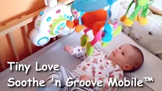 Soothe 'n Groove Mobile&trade; Tiny Love - New Toy For My Baby