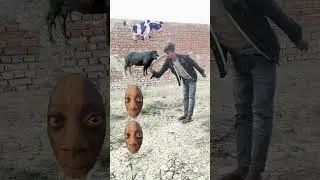 cow,, buffalo,, goat,, lion VFX magic //youtube shorts#trending#short#funnyshortsfeed#comedy